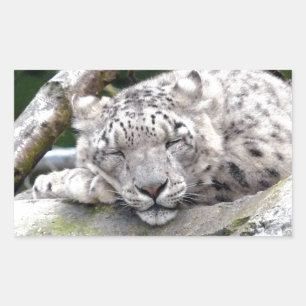 Adesivo Retangular Leopardo de Neve - lindo!