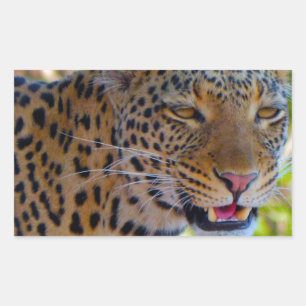 Adesivo Retangular Leopardo Manchado