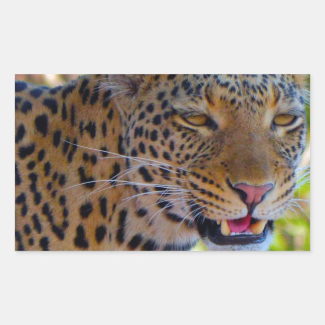 Adesivo Retangular Leopardo Manchado (Frente)