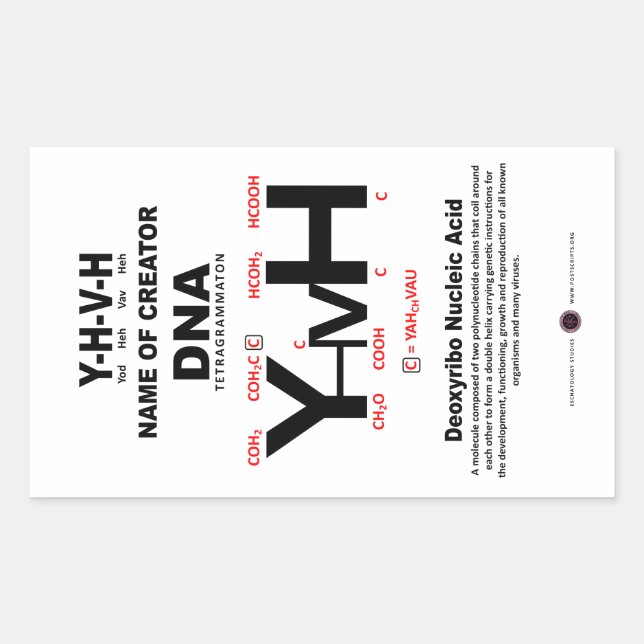 Adesivo Retangular Ligação Química do ADN-YHVH (Frente)