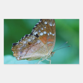 Adesivo Retangular Linda Borboleta Danaus Plexippus na Folha.
