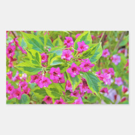 Adesivo Retangular Linda Weigela Verde com Flores Crimson