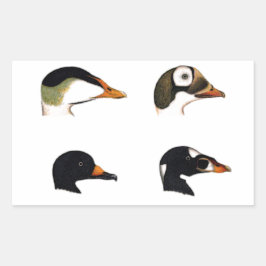 Adesivo Retangular Logotipo dos Patos do Mar