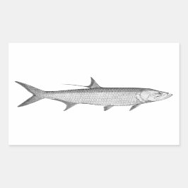 Adesivo Retangular Logotipo Tarpon (line art)