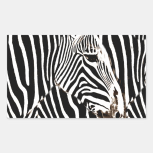 Adesivo Retangular Love_ das zebras