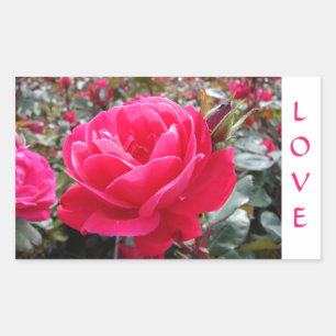 Adesivo Retangular Love Pink Romance Rosa Stickers