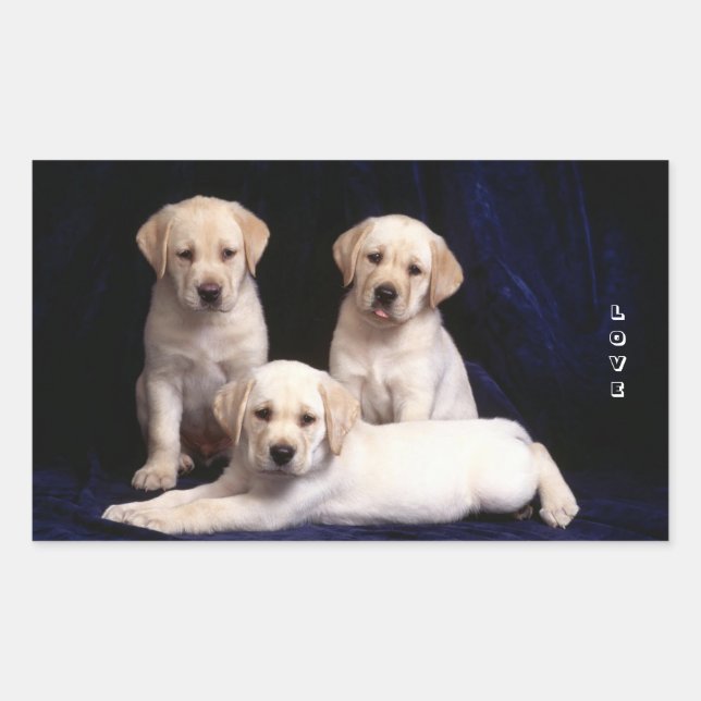 Adesivo Retangular Love White Labrador Retriever Puppy Dog Stickers (Frente)