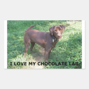 Adesivo Retangular LR chocolate lab love with picture