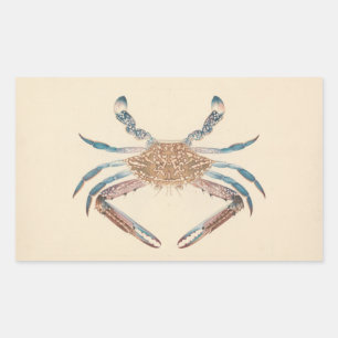 Adesivo Retangular Luigi Balugani - Portunua Pelagicus - Blue Crab