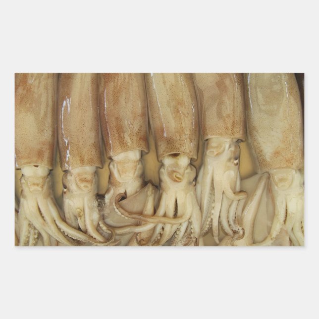 Adesivo Retangular Lula - Calamari (Frente)