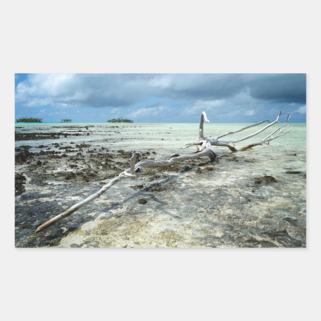 Adesivo Retangular Madeira morto na vinheta retangular do Pacífico (Frente)