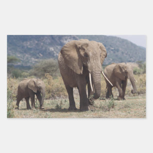 Adesivo Retangular Mãe elefante andando com elefante filhote