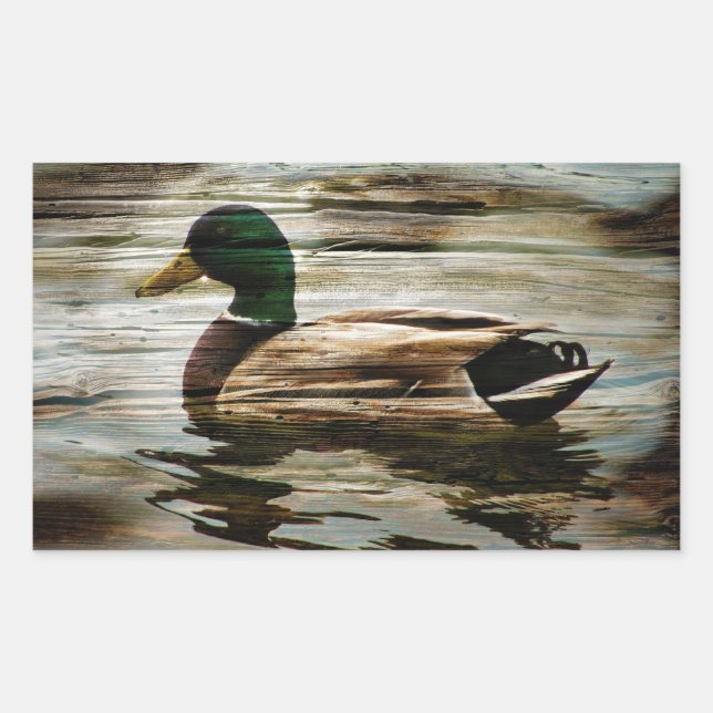 Adesivo Retangular Mallard Duck (Frente)