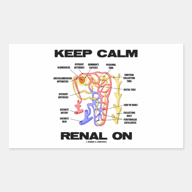 Adesivo Retangular Manter Calmo Renal Ligado (Rim Nephron) (Frente)