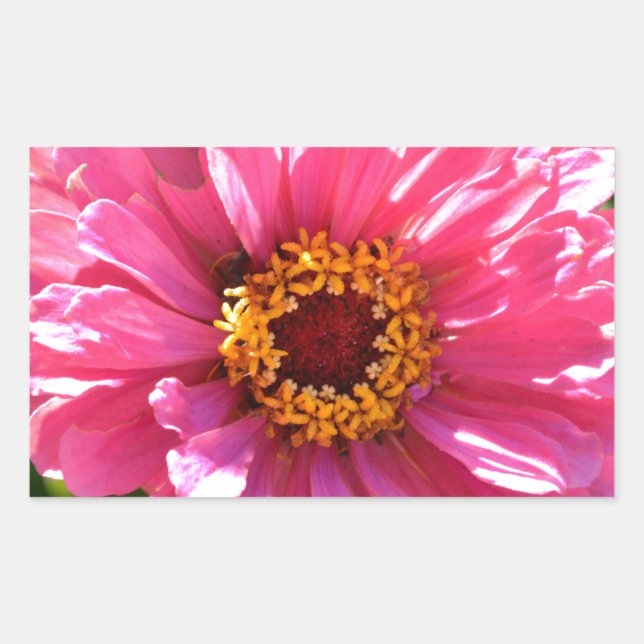 Adesivo Retangular Margarida de mãe floral rosa elegante (Frente)