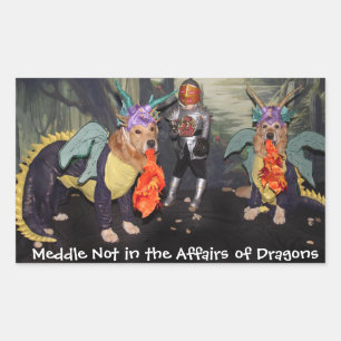 Adesivo Retangular Medidor de Dragões para Retriever de ouro Não