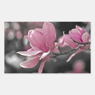 Adesivo Retangular Molho Rosa Japonês Magnolia