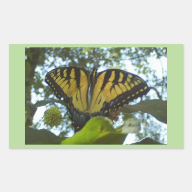 Adesivo Retangular Monarca Amarelo Sunshine (Frente)