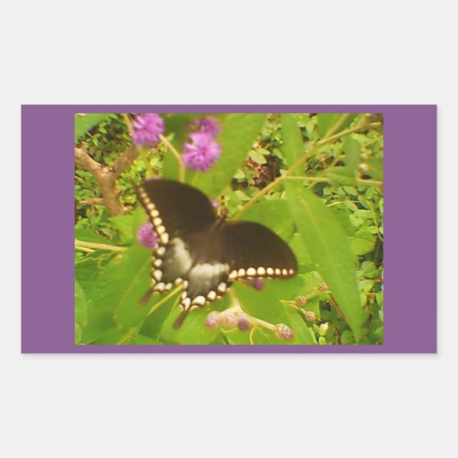 Adesivo Retangular Monarca Preto Envolto em Roxo (Frente)