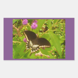 Adesivo Retangular Monarca Preto Envolto em Roxo