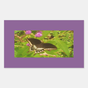 Adesivo Retangular Monarca Preto Envolto em Roxo