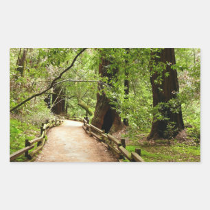 Adesivo Retangular Muir Woods Path II - Fotografia natural