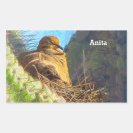 Adesivo Retangular Mulher Da Dove De Luto Com Ninho De Bebê Saguaro C