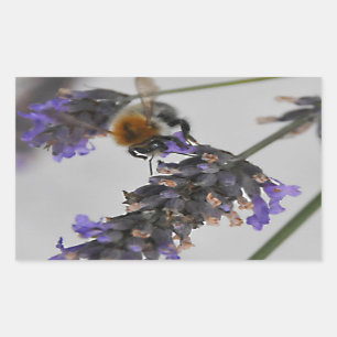 Adesivo Retangular Natures WonMaravilha Workers