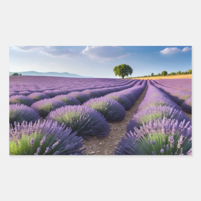 Adesivo Retangular Natureza lavanda no exterior Paisagem pacífica (Frente)