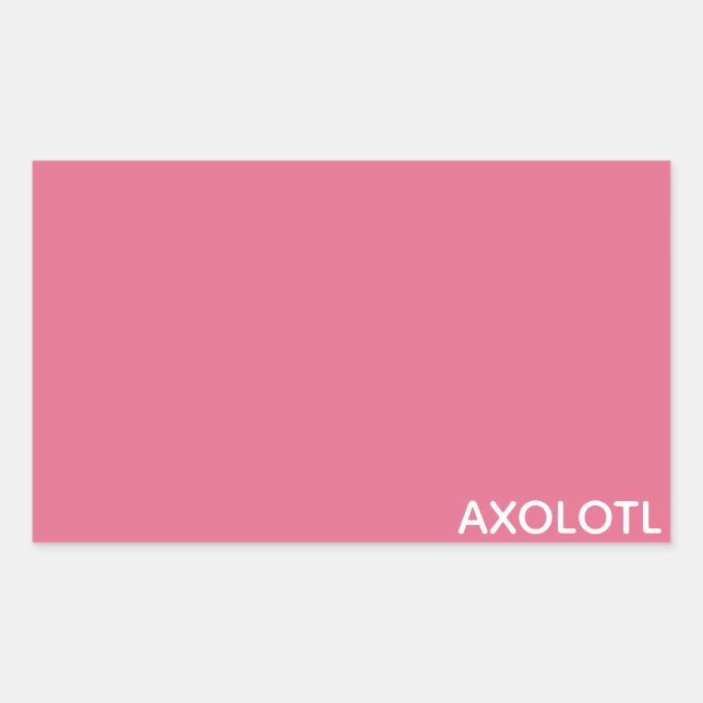 Adesivo Retangular Nome de cor rosa Axolotl (Frente)