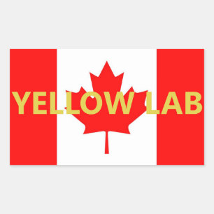 Adesivo Retangular Nome do Lab Amarelo na Bandeira