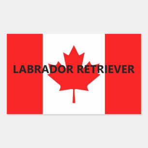 Adesivo Retangular Nome do Labrador Retriever na Bandeira