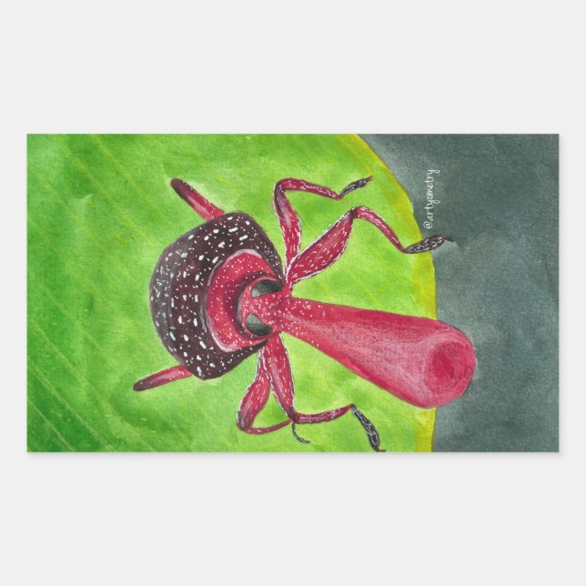 Adesivo Retangular Nosy (Frente)