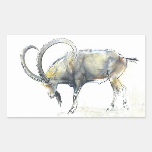 Adesivo Retangular Nubian Ibex 2008 (Frente)