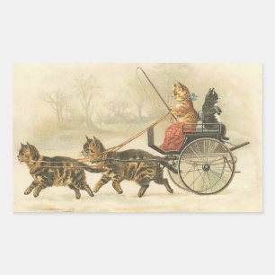 Adesivo Retangular O cartão do treinador de PUrrfect