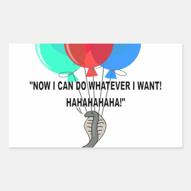 Adesivo Retangular O Cobra Voador (Frente)