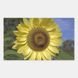 Adesivo Retangular O girassol perfeito do verão no céu azul.