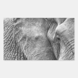 Adesivo Retangular O olho de um elefante
