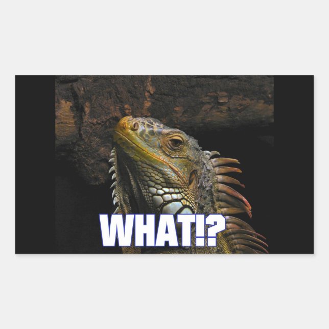 Adesivo Retangular O quê? Iguana (Frente)