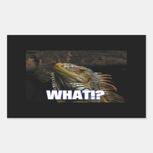 Adesivo Retangular O quê? Iguana
