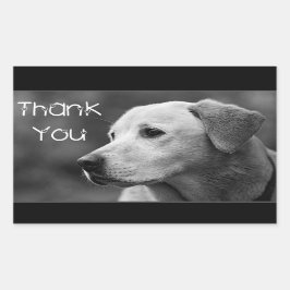 Adesivo Retangular Obrigado Labrador Retriever Puppy Dog Sticker