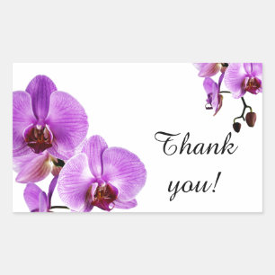 Adesivo Retangular Obrigado roxo do phalaenopsis da orquídea você