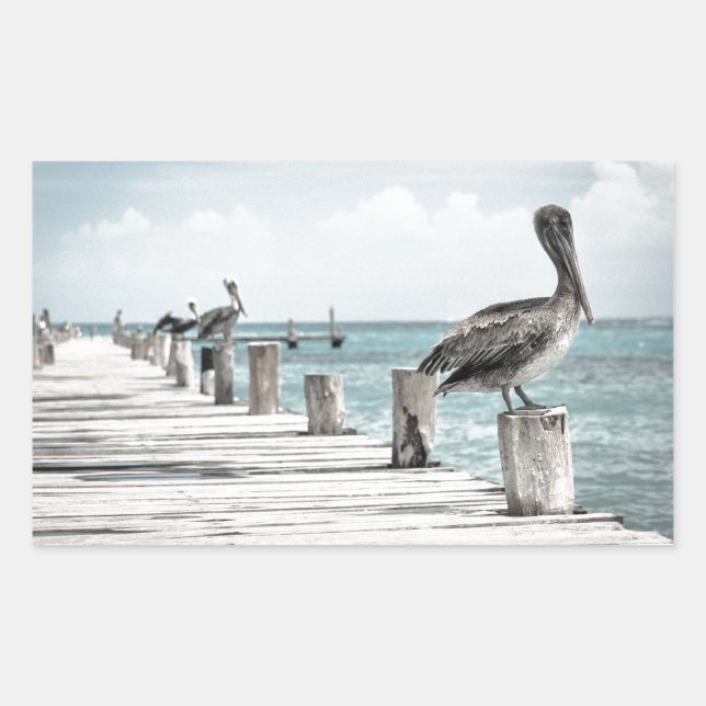 Adesivo Retangular Oceano Costeiro Pelicano (Frente)