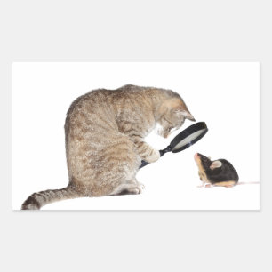 Adesivo Retangular Olá!?!