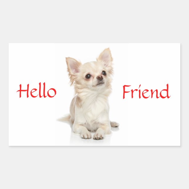 Adesivo Retangular Olá Amigo Sticker Chihuahua de Cabelo Comprido (Frente)