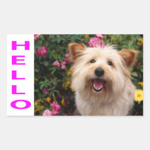 Adesivo Retangular Olá Cairn Terrier Cão Cachorro Saudação