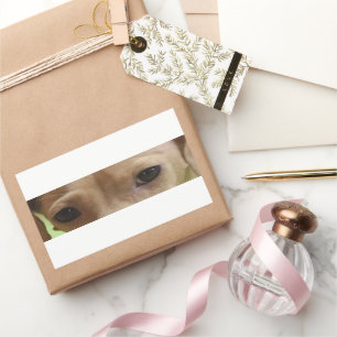 Adesivo Retangular olhais de creme