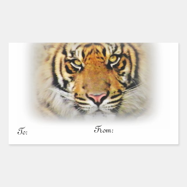 Adesivo Retangular Olhos do Tigre,Love_ (Frente)
