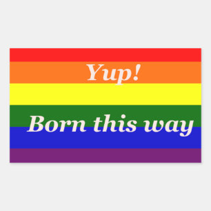 ADESIVO RETANGULAR ORGULHO GAY SIM, NASCIDO ASSIM