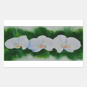 Adesivo Retangular Orquídeas brancas aquarelas
